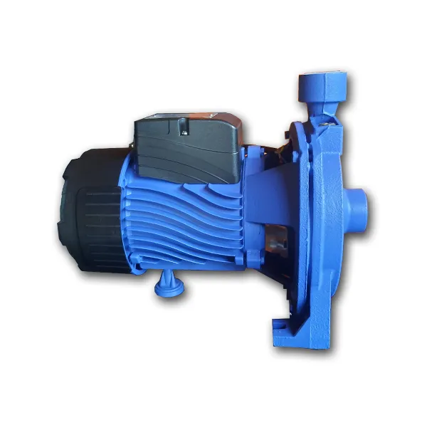 Beker 1HP Centrifugal Water Pump reference image